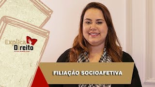 Explica Direito Filiação Socioafetiva  2019 [upl. by Meingoldas]