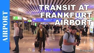 TRANSIT WALK AT FRANKFURT Airport FRA Terminal 1  Connection Flight Transfer Arriving amp Departing [upl. by Koy]